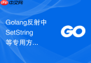 Golang反射中SetString等专用方法报错的原因与防范