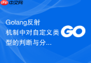 golang反射机制中对自定义类型的判断与分支处理