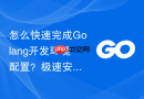 怎么快速完成Golang开发环境配置？极速安装与检测方法