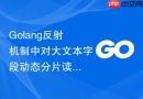 Golang反射机制中对大文本字段动态分片读取的实现