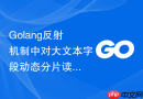 golang反射机制中对大文本字段动态分片读取的实现