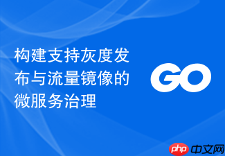 构建支持灰度发布与流量镜像的微服务治理