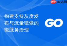 构建支持灰度发布与流量镜像的微服务治理