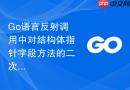 Go语言反射调用中对结构体指针字段方法的二次调用
