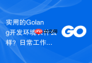 实用的Golang开发环境长什么样？日常工作流配置分享