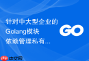 针对中大型企业的Golang模块依赖管理私有化统一部署