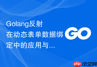 golang反射在动态表单数据绑定中的应用与实践