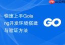 快速上手Golang开发环境搭建与验证方法