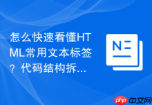 怎么快速看懂HTML常用文本标签？代码结构拆解分析