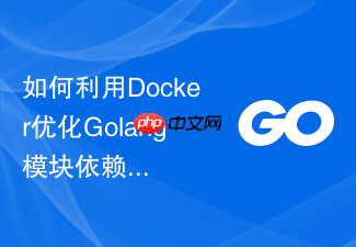 如何利用docker优化golang模块依赖管理构建流程