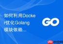 如何利用Docker优化Golang模块依赖管理构建流程
