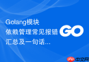 golang模块依赖管理常见报错汇总及一句话解决方案