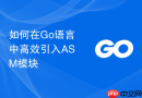 如何在go语言中高效引入asm模块