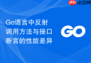 go语言中反射调用方法与接口断言的性能差异