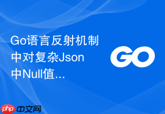 go语言反射机制中对复杂json中null值解析的兼容处理