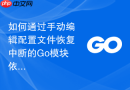 如何通过手动编辑配置文件恢复中断的go模块依赖下载