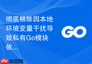 彻底根除因本地环境变量干扰导致私有go模块依赖下载失效的故障