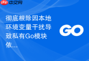彻底根除因本地环境变量干扰导致私有Go模块依赖下载失效的故障