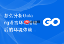 怎么分析Golang语言环境搭建后的环境依赖