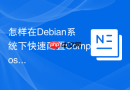 怎样在Debian系统下快速配置Composer镜像源同步