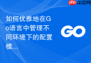 如何优雅地在Go语言中管理不同环境下的配置模块