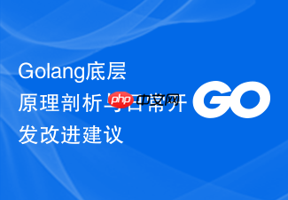 golang底层原理剖析与日常开发改进建议