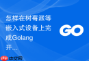 怎样在树莓派等嵌入式设备上完成golang开发环境搭建？轻量化配置