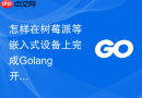 怎样在树莓派等嵌入式设备上完成Golang开发环境搭建？轻量化配置