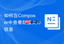 如何在composer中查看配置文件信息