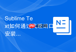 sublime text如何通过代理端口安装外部资源包