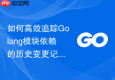 如何高效追踪golang模块依赖的历史变更记录
