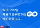 解决Golang开发环境依赖下载慢的配置技巧