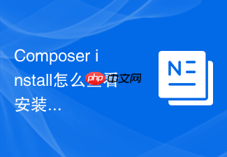 composer install怎么查看安装进度?详细输出参数详解