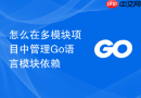 怎么在多模块项目中管理Go语言模块依赖