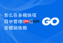 怎么在多模块项目中管理go语言模块依赖