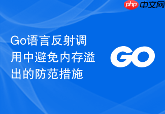 go语言反射调用中避免内存溢出的防范措施