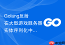 Golang反射在大型游戏服务器实体序列化中的性能瓶颈