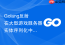 golang反射在大型游戏服务器实体序列化中的性能瓶颈