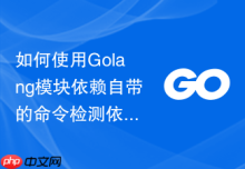如何使用Golang模块依赖自带的命令检测依赖包的潜在漏洞