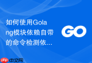 如何使用Golang模块依赖自带的命令检测依赖包的潜在漏洞