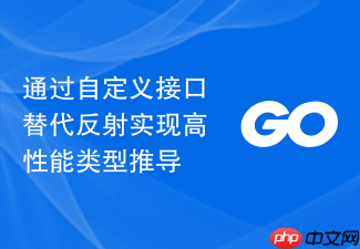 通过自定义接口替代反射实现高性能类型推导