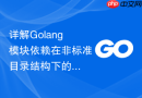 详解Golang模块依赖在非标准目录结构下的配置调整方法