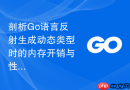 剖析Go语言反射生成动态类型时的内存开销与性能退化