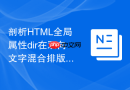 剖析html全局属性dir在双向文字混合排版中的计算规则
