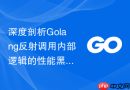 深度剖析Golang反射调用内部逻辑的性能黑盒