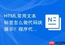 HTML常用文本标签怎么做代码块展示？程序代码排版方法
