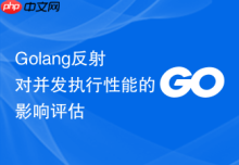 Golang反射对并发执行性能的影响评估