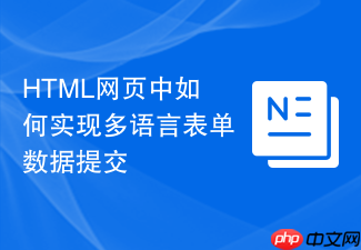 html网页中如何实现多语言表单数据提交