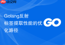 Golang反射标签提取性能的优化路径