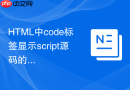 html中code标签显示script源码的处理方法